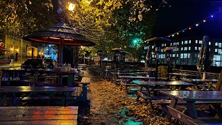 City Centre Limerick  Night Life Of Limerick  People’s Park  Shannon River [upl. by Jase]