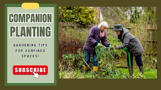 Companion Planting in Confined Areas gardening garden plants [upl. by Olivia711]