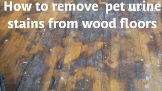 HOW TO REMOVE PET URINEWATER DAMAGE STAINS FROM WOOD FLOORS [upl. by Bernardi]