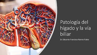 Patología del hígado y la vía biliar [upl. by Doralynne]