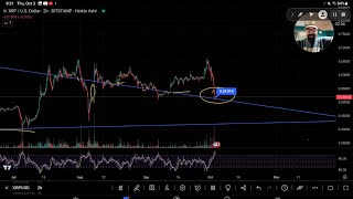 XRP 24 LAST 72 HRSquot RIPPLE CASE WONT END UNTIL EARLIEST JAN 2026 WHEN 2ND CIRCUIT COURT RULES [upl. by Wise]