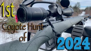 1st Coyote Hunt of 2024 [upl. by Carver]