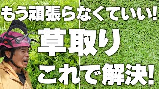 【究極対策】防草シートより優秀なコレで草取りを解決します！ [upl. by Annuaerb]