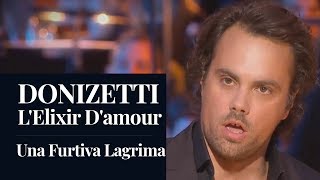 DONIZETTI  Lelisir damore quotUna Furtiva Lagrimaquot Behr HD [upl. by Gabi]