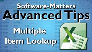 How to Perform Multiple Item Lookups in Excel with VLOOKUP [upl. by Amuh]