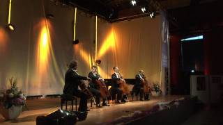 cello quartet quattrocelli  Trailer  the quattrocelli scenes LIVE [upl. by Fife]