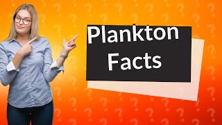 Is plankton a plant [upl. by Drareg]