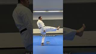 Mae Geri in less than 1 minute martialarts dojo karate karatetechniques [upl. by Htiduj]