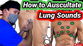 Lung Sounds and Lung Auscultation 101 [upl. by Auria643]