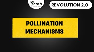 REPRODUCTIVE BOTANY POLLINATION MECHANISMS  CORE BOTANY  CALICUT UNIVERSITY FIRST SEMESTER [upl. by Ecnedac]