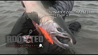 Alaska Salmon Fishing  Topwater Coho Madness in the Alaskan Wilderness  Addicted Alaska Ep 3 [upl. by Narcho]