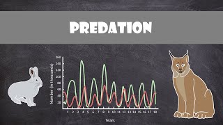 Predation  Animal Behaviour [upl. by Amoeji]