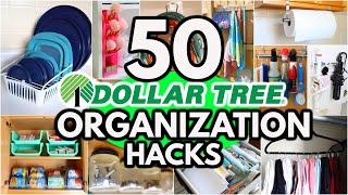 50 Dollar Tree Organization HACKS to get your home Organized FAST ideas from a pro [upl. by Sang]