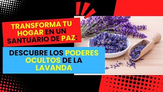 El PODER OCULTO de la LAVANDA Crea un SANTUARIO de PAZ EN CASA [upl. by Ludie]